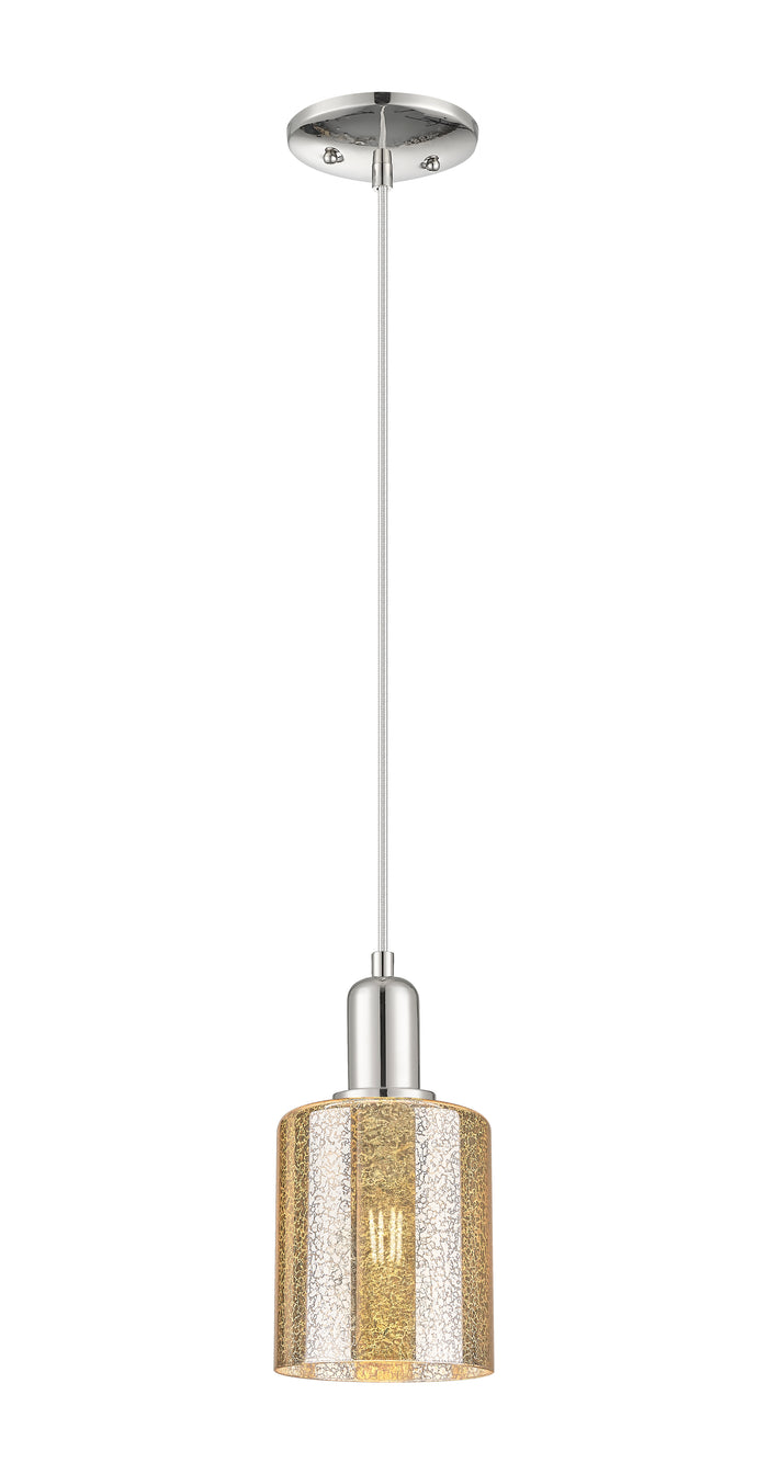 Polished Nickel / Mercury
