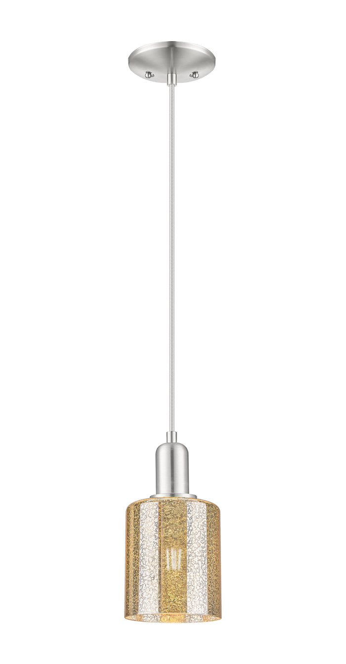 Brushed Satin Nickel / Mercury