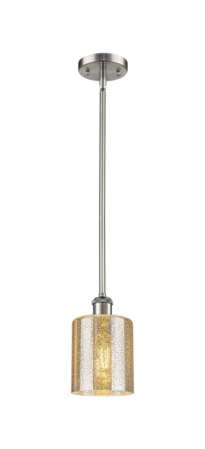Brushed Satin Nickel / Mercury