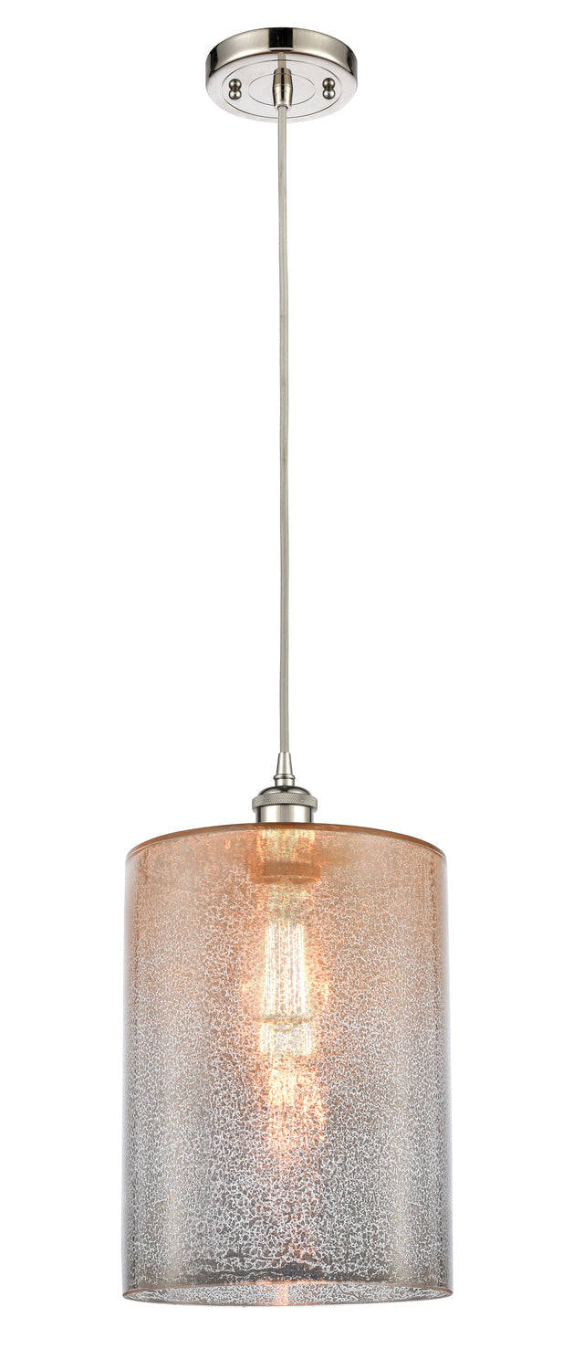 Polished Nickel / Mercury