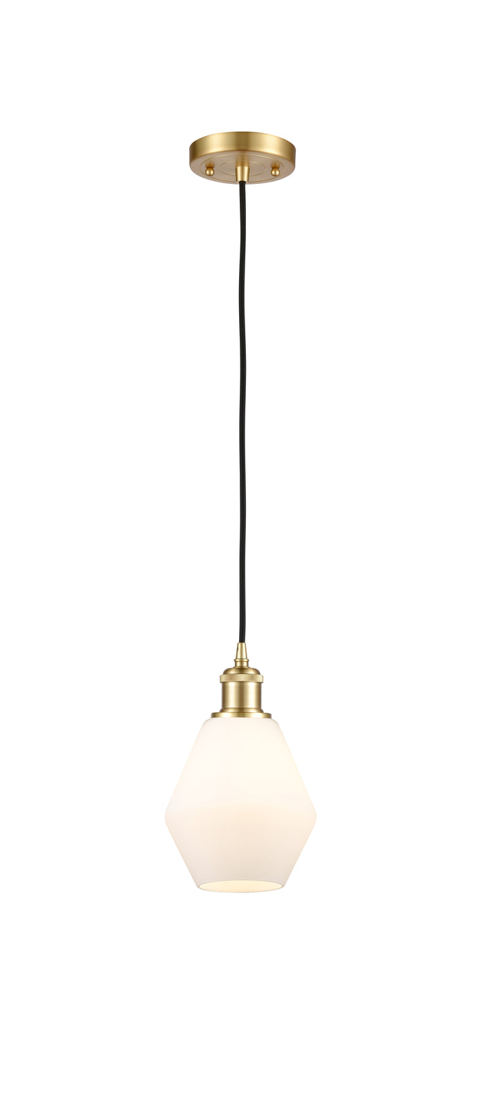 Satin Gold / Cased Matte White