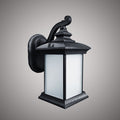 Black Powder Coated LED Tall Square Exterior Wall Sconce  3CCT Clear Glass