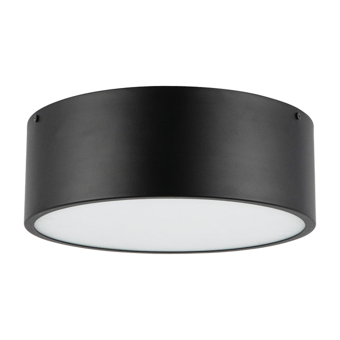 Brisbane 12-in 2 lights Steel Flush Mount