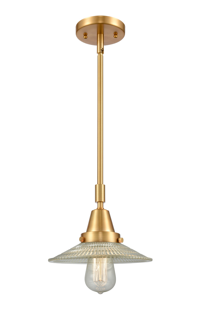 Satin Gold / Clear Halophane