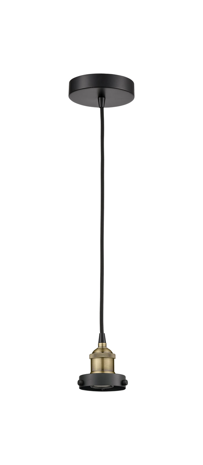 Edison Mini Pendant Antique Brass Finish