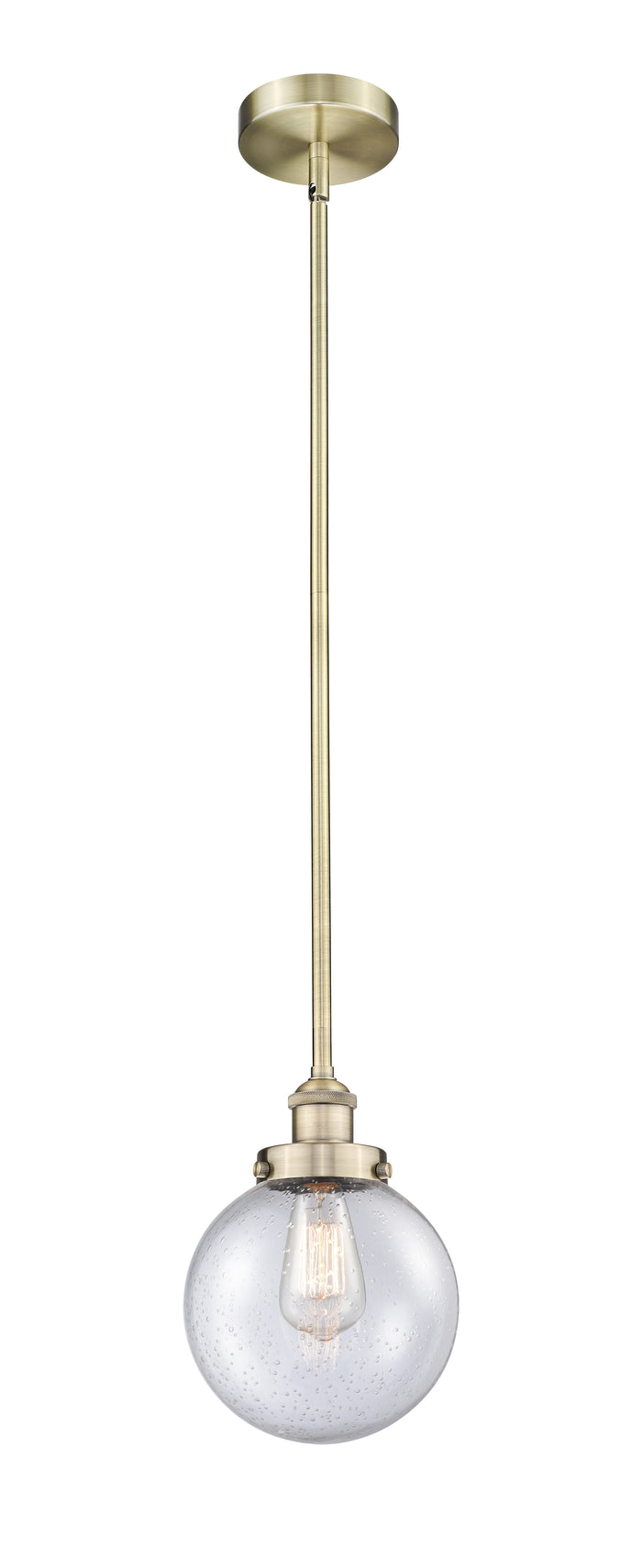 Edison Mini Pendant Antique Brass Finish