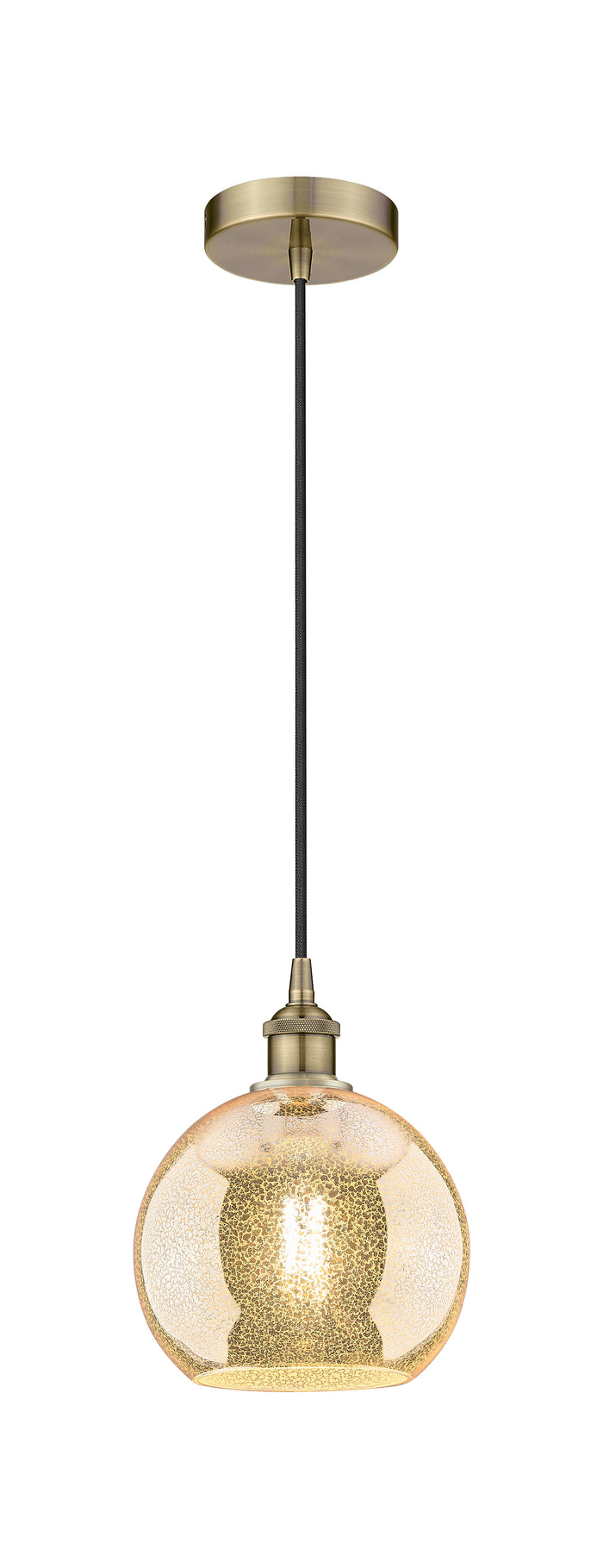 Edison Mini Pendant Antique Brass Finish
