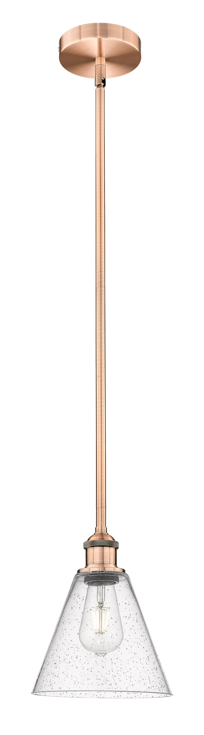 Edison Mini Pendant Antique Brass Finish