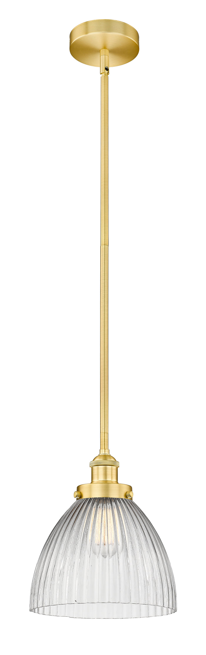 Satin Gold / Clear Halophane