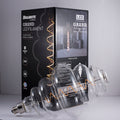 Grands BH 4W Dimmable Clear Filament LED Light Bulb with E26 Base, 2200K, 190 Lumens