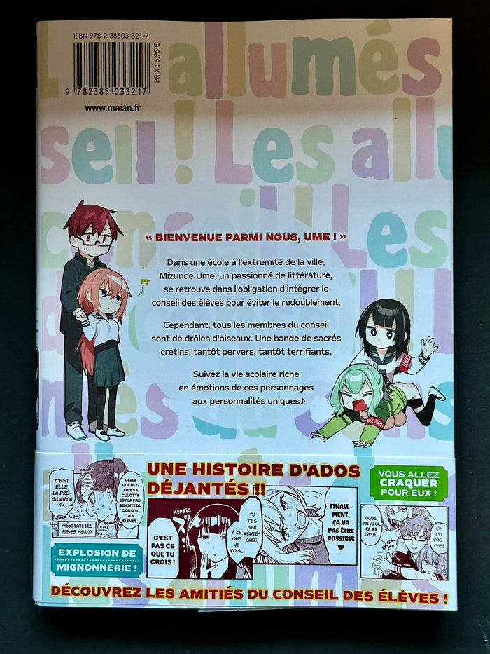 Les allumés du conseil ! - Tome 01