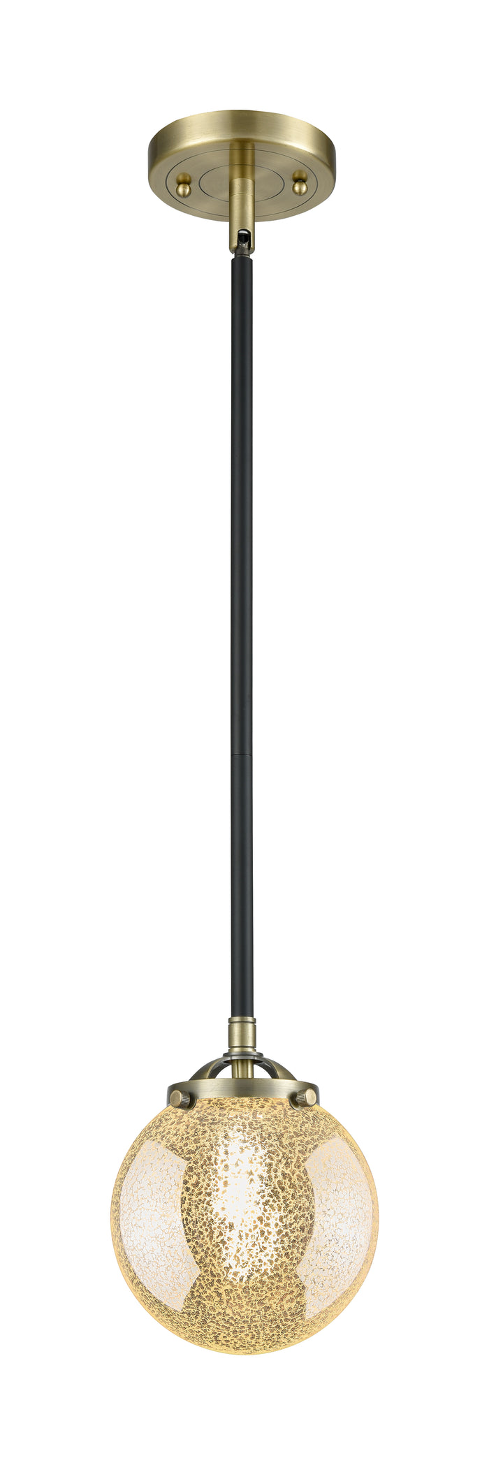 Nouveau Mini Pendant Black Antique Brass