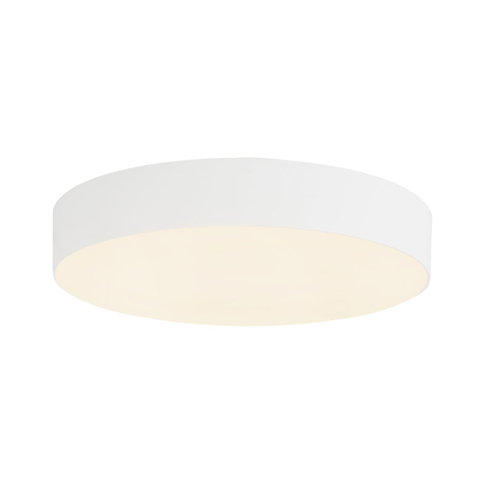 Rynn 5-in Aluminum Flush Mount