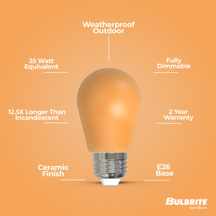 S14 2.5W Dimmable Ceramic Anver Filament LED Light Bulb with E26 Base, 10-Pack