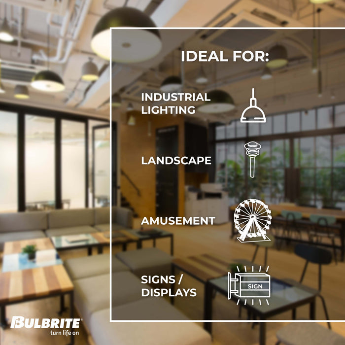 ST18 7W Dimmable Clear Filament LED Light Bulb with E26 Base, 4000K, 800 Lumens, 8-Pack